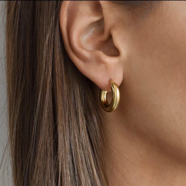 Ruby Earring