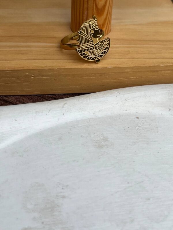 Ring 19 - Image 5